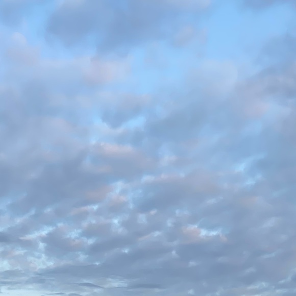 Meet your Posher, Katelyn - Picture 1 of 1